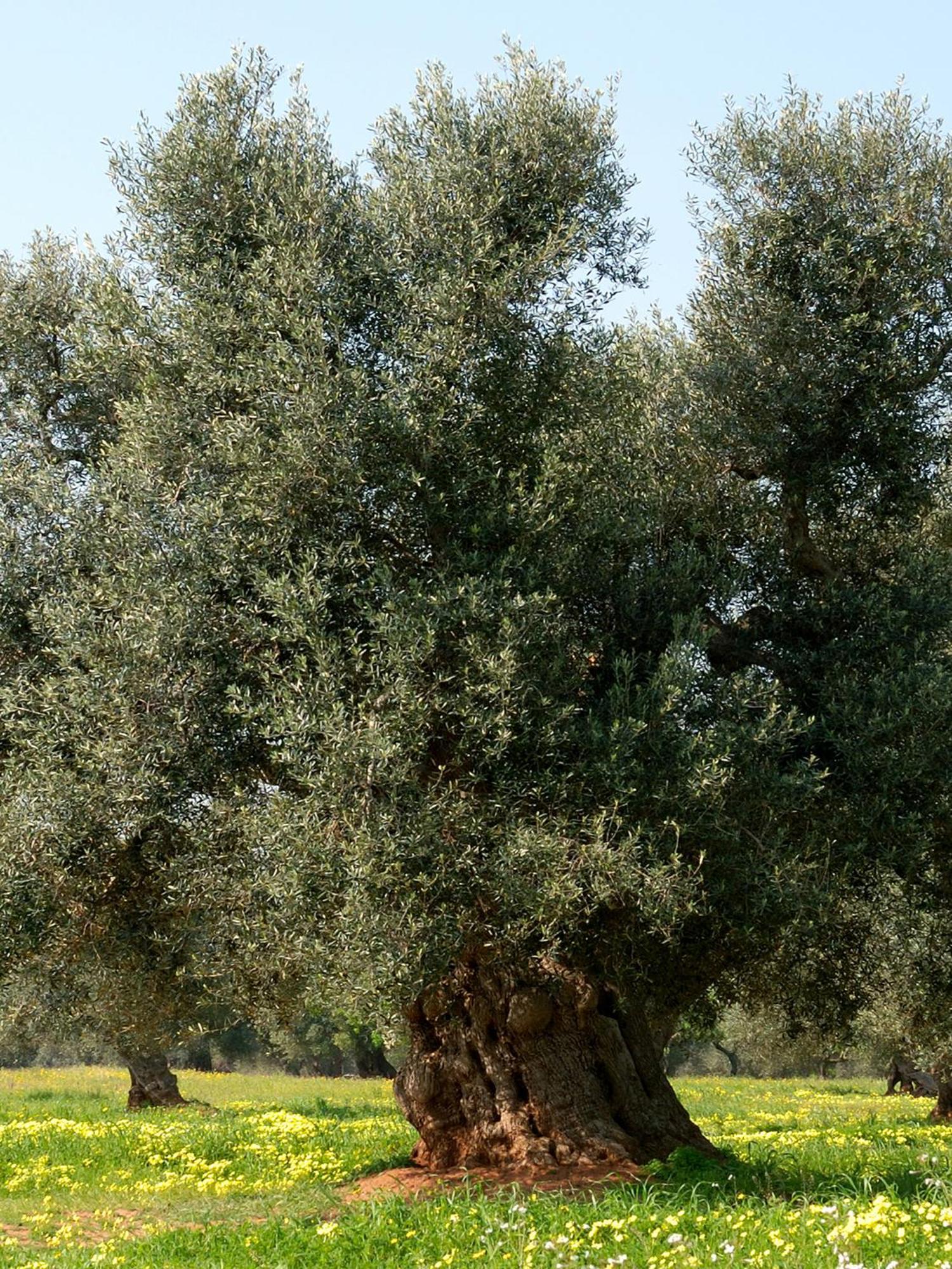 Al Ristoro Gasthof